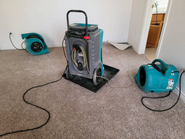 Best 24-hour water damage restoration  in Turpin Hills, OH