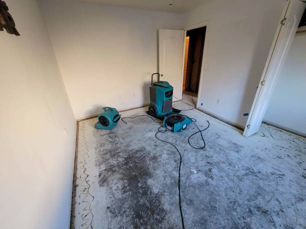 Best 24/7 water damage repair  in Turpin Hills, OH